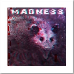 Possum in Madness Posters and Art